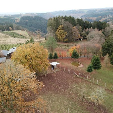 Вилла Le Brocard Des Fagnes - 16 Pers Мальмеди Экстерьер фото